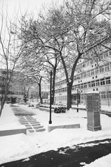 _DSC0083