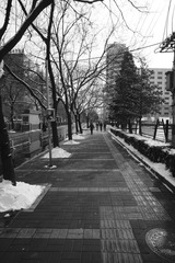_DSC0086