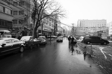 _DSC0091