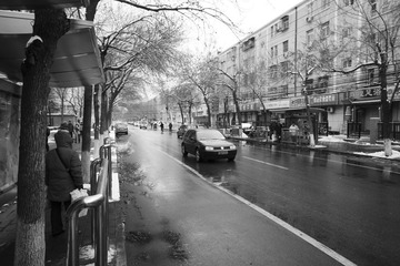 _DSC0093