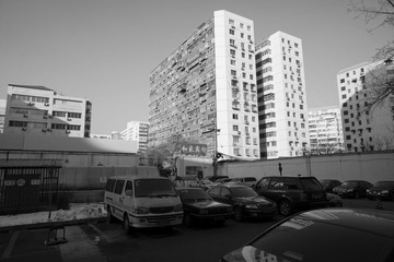 _DSC0113