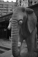 _DSC0160