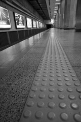 _DSC6753