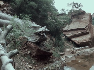 0978F12D-6288-42EC-88C1-D7034EA062C3/L0/001