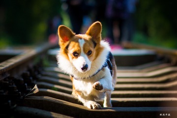861919