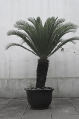 19C4C70E-2AC7-4E04-8DCE-DEFD6526F8ED