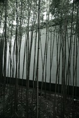1A2D0FAA-2EFF-4B17-997D-22FD4DB18585