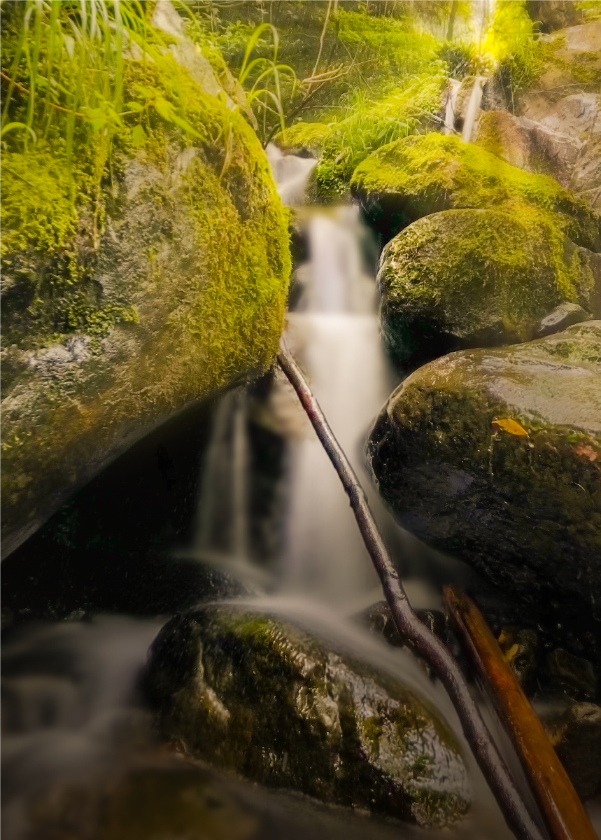 光照小溪沟 - 请叫我一根筋先森 - 图虫网 - 优质摄影师交流社区