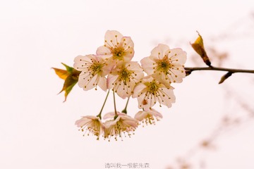 未命名-0273