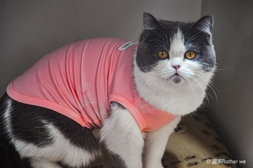 11171