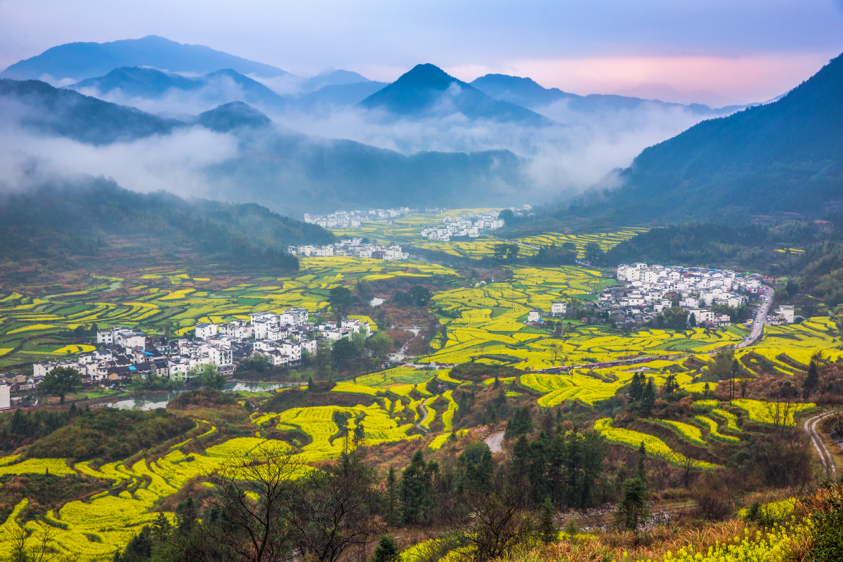 江岭油菜花 - 天骄云散 - 图虫