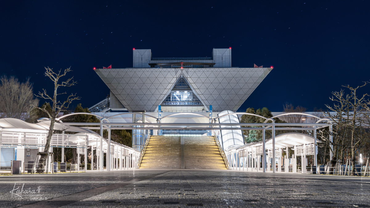 东京国际展示场夜景