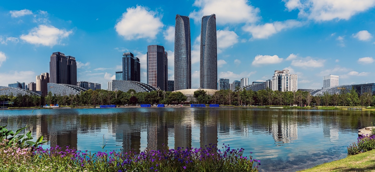 四川是个好地方风光城市纪实色彩#摩天大楼#双子塔成都还没有人打赏