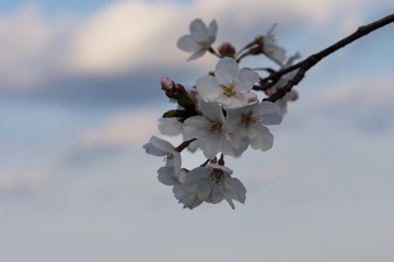 7A450ADD-4388-413A-BF2D-2C71C765927F/L0/001