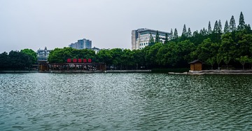 F143CC25-9076-4A4E-924D-AFFB6E824C4C/L0/001