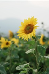 2CEE906D-358B-4141-8E98-F1D5B3248A79/L0/001