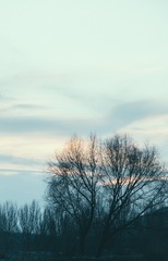 862E1243-6595-4C6E-8D5A-4D5BEFF98244/L0/001
