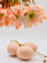 50620