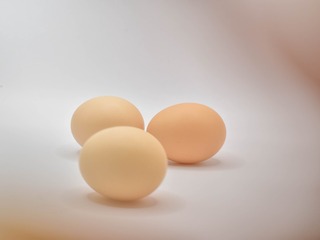 50618