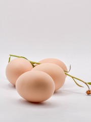 50621
