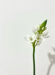 CC608F1C-E4E2-468A-96C2-25FC7D725F72/L0/001