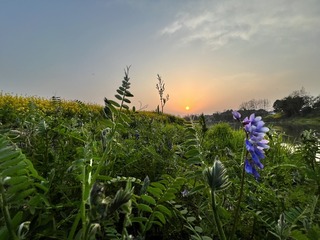 B575EA32-EEFF-4824-9177-9CF045C133BC/L0/001