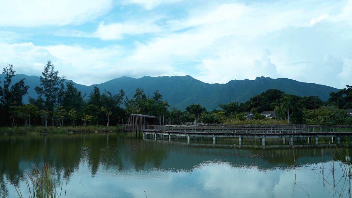 山水风光无限好深圳坝光银叶树湿地园