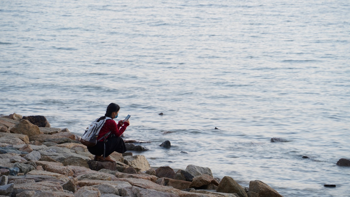海边玩手机的游客