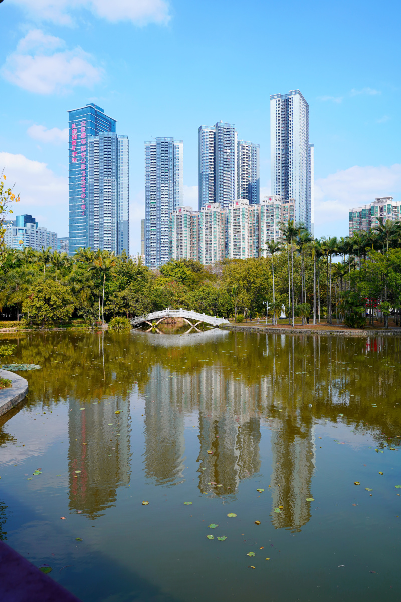 深圳洪湖公园水倒影建筑高楼洪湖东岸