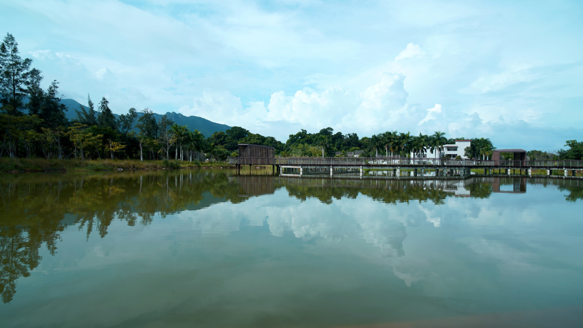 深圳坝光银叶树湿地园风光 - 视界通 - 图虫