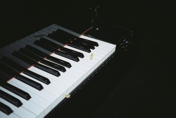 Optional(