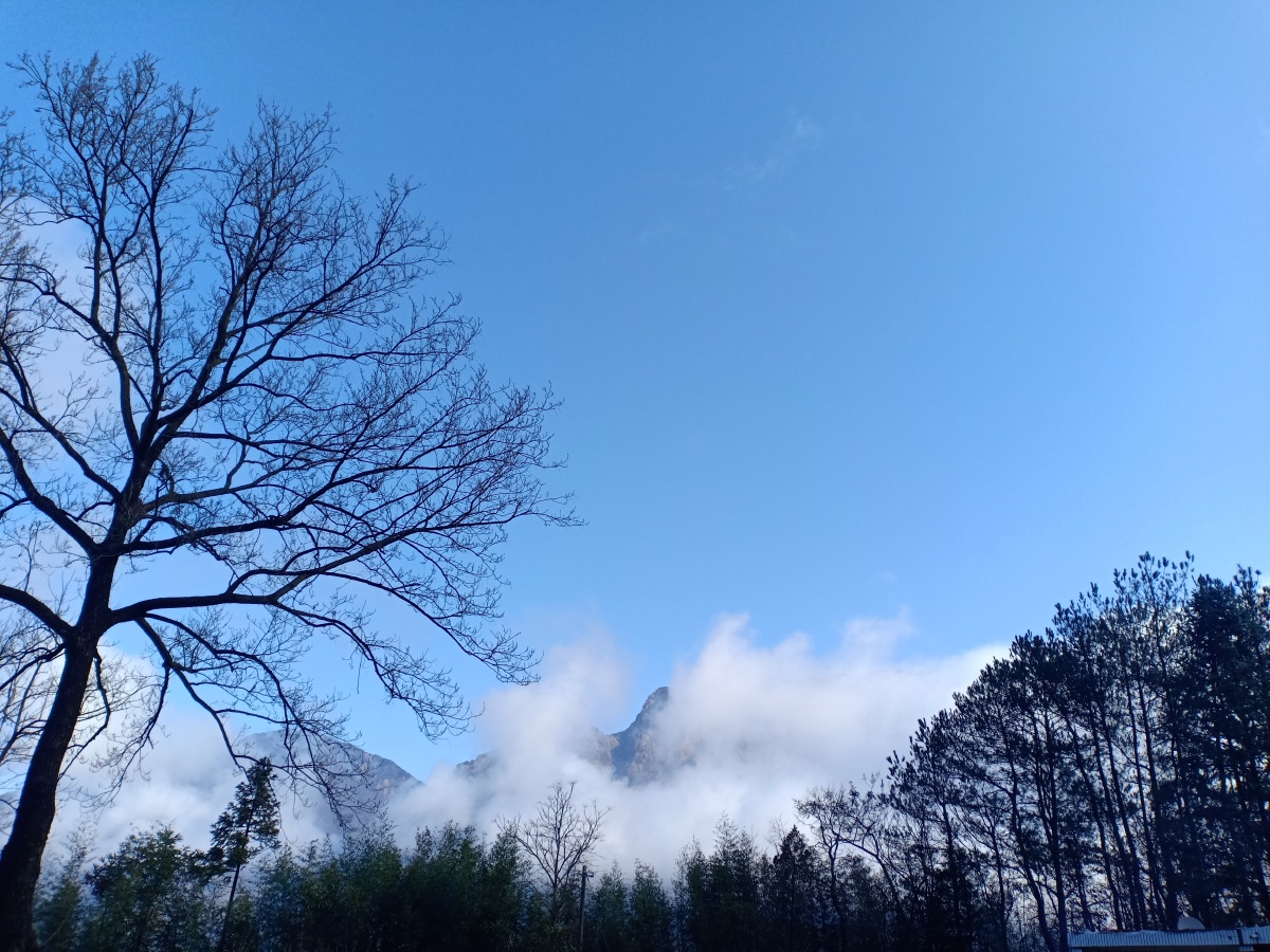 老家风景唯美,清净.