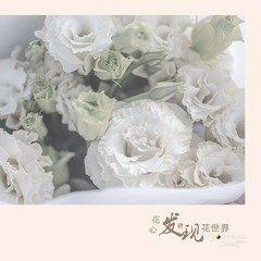 花8