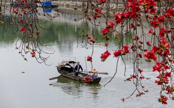 红棉水乡3
