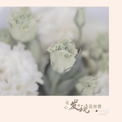 花4
