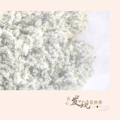 花16