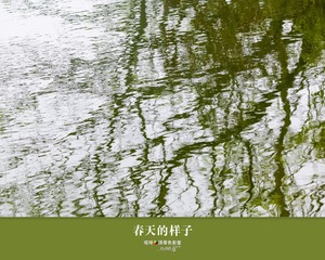 春天的样子7