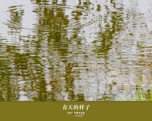 春天的样子2