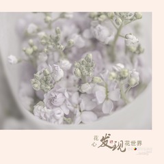 花12