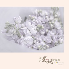 花13