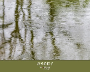 春天的样子4