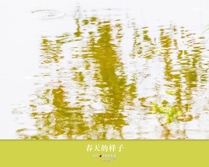 春天的样子5
