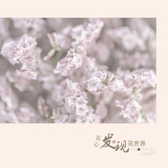花15