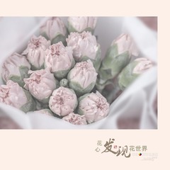 花14