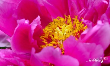 12-DSC_1860