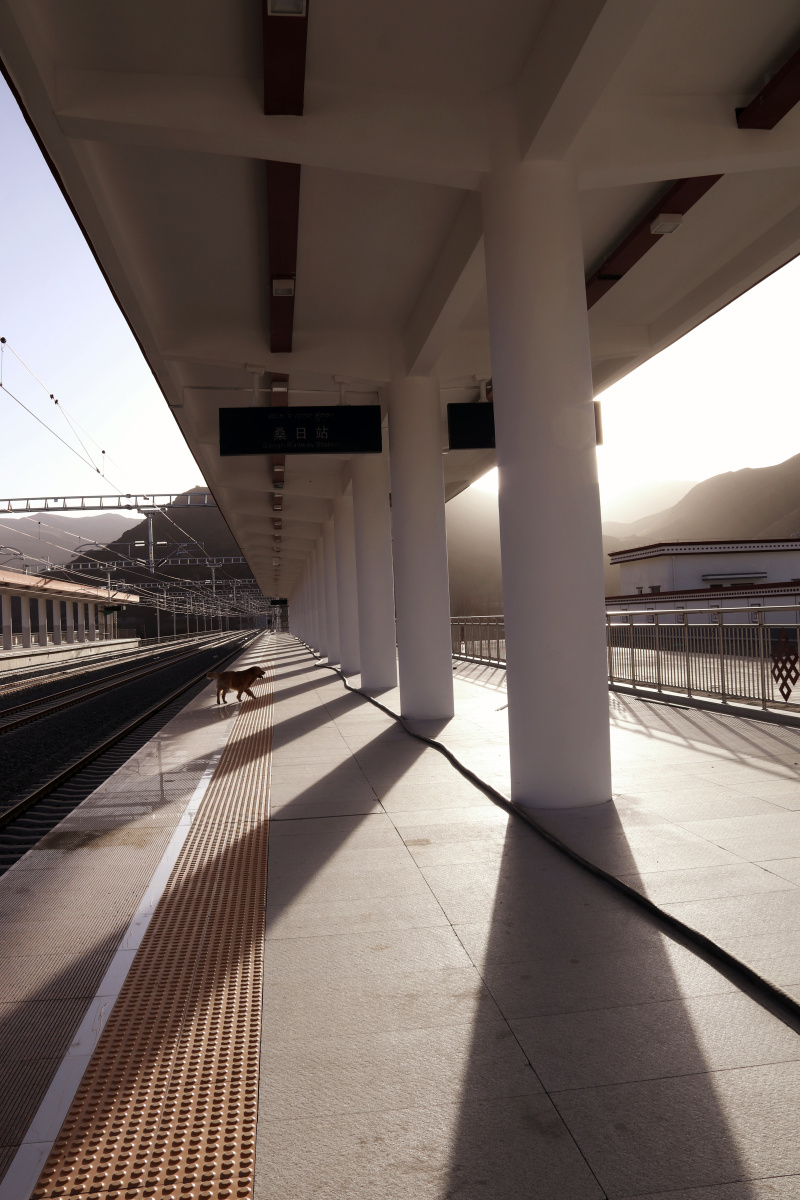 桑日站(三)竖版3张