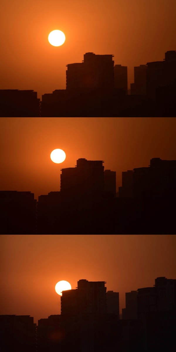 太阳被城市反映着节选