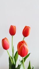 AB42B473-A11E-4308-84B9-70BDF92F4F2E/L0/001