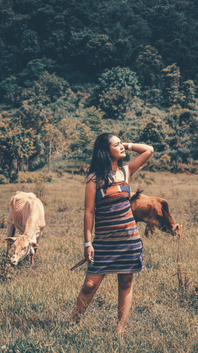 放牛的佤族姑娘