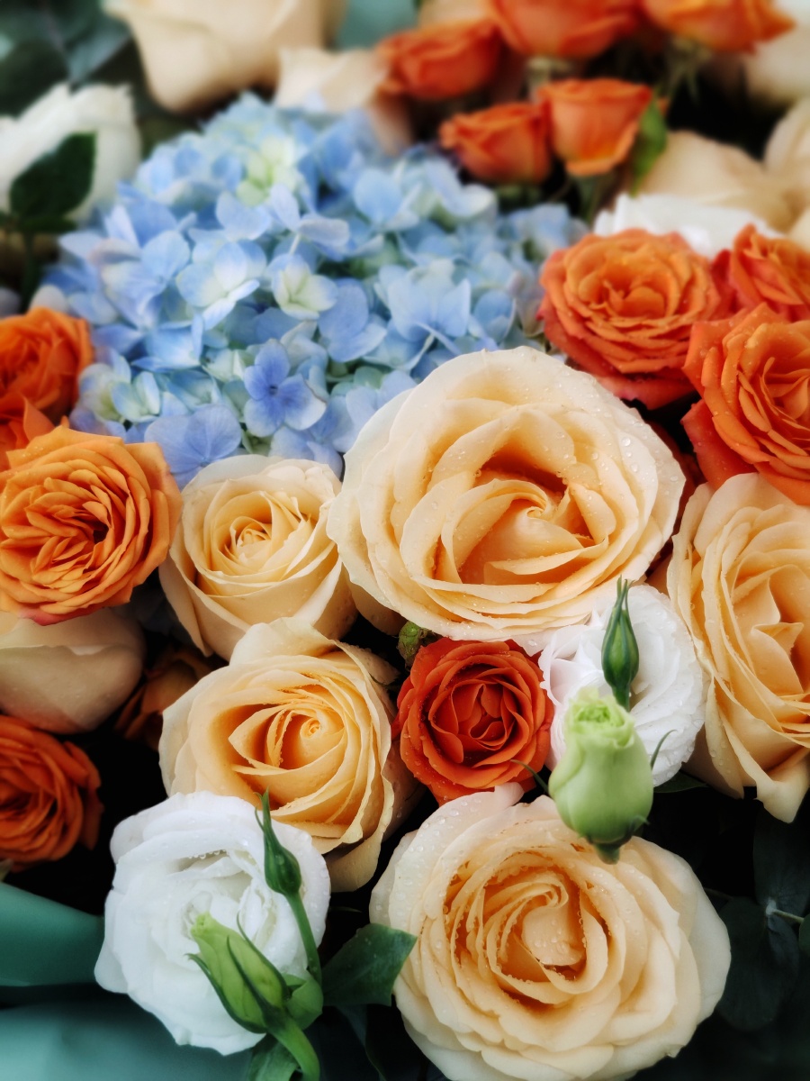 冬日的鲜花总能让人倍感温暖周末快乐